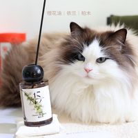 养了猫之后连香薰都不敢用了？翻了4个平台40多篇帖，哪些是真毒哪些是恐吓，安全用法都写好了