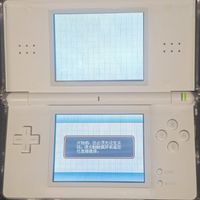 一套屏480元比机器还贵：NDSL IPS屏上市4个多月，改不改先看3条路线和4个坑