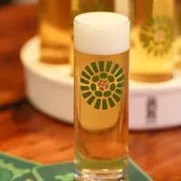 明年麦芽不到50%就不能叫「啤酒」了:翻完新国标条文和各平台评论区,你桌上这杯酒要变的事都在这