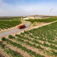 进口红酒上半年量降11%、均价涨13%：便宜酒没消失，是“搬家”了