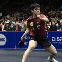 三局11-4全程碾压！樊振东德甲客场首秀打疯，对手三局加起来只得12分