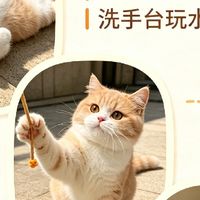 治愈又气人！养猫就是一边被萌化，一边被拆家搞崩溃