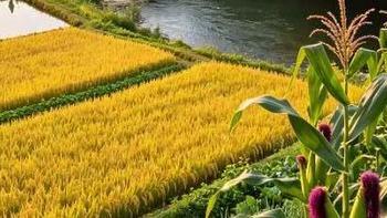 干皮紧绷油皮别只靠身体乳硬撑，这几款沐浴露我扒了一遍又一遍