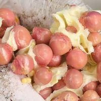 鸡头米进入口感巅峰期倒计时：台风后手剥卖到120-180元/斤，该不该买、怎么避坑看这篇