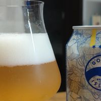 鹅岛新品"冷萃IPA"上架盒马，口碑分成两派：不是酒不行，是你想错了