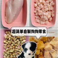 狗粮脏手、冻干易碎、肉干太硬：给狗做训练，到底该用什么零食？