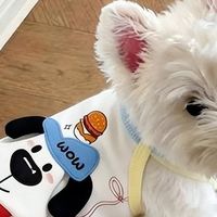 小型犬吃什么狗粮好？2026年8月适合小型犬的优质狗粮推荐