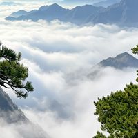 别再给周伯通和小龙女传黄谣了:捋完原著才懂,这是金庸武侠里最纯粹的一段交情