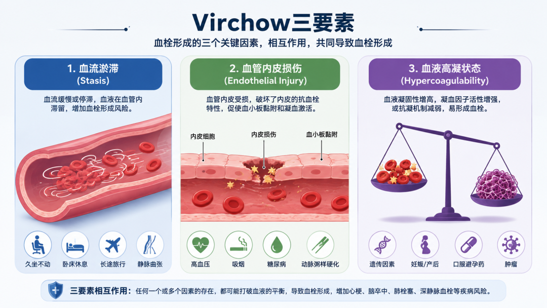 血栓有多危险?身体出现这4个信号,可能已经在悄悄堵血管