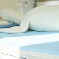 青少年学生选床垫别乱买！8H 小蜗蜗双面款：透气抗菌更护脊椎