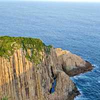 野猪又拱了露营地还上了热搜：盘完麦理浩径3月以来的8起冲突，我发现它们盯上的是你包里的吃的