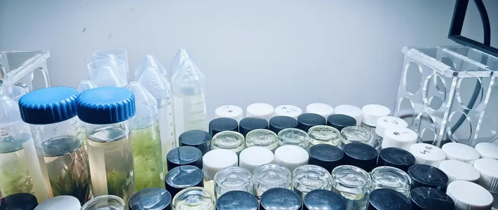 同样一瓶52，有人除藻，有人团灭：翻了全网十几份使用记录，把安全区间整理出来了