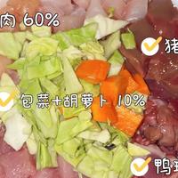 “千猫瘫痪”后想给猫做饭？动手前先看看宠物医院流传的这份“全价食谱”