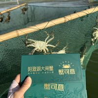 离中秋还有一个月,蟹券已经满天飞:"1288型"不是1288元,也不是所有人都该买券