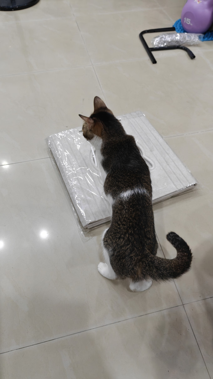 猫狗窝