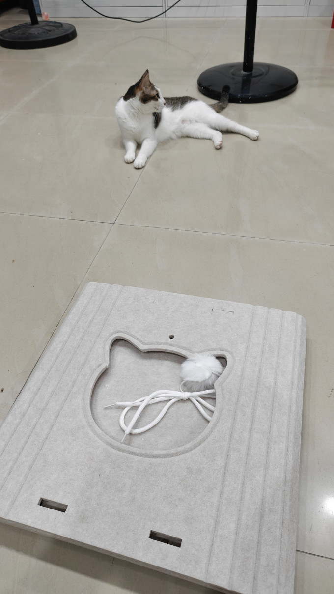 猫狗窝