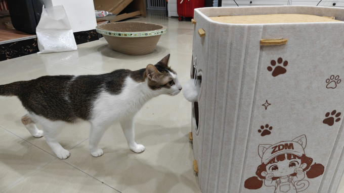猫狗窝