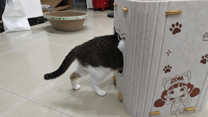 猫狗窝