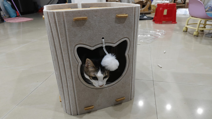 猫狗窝