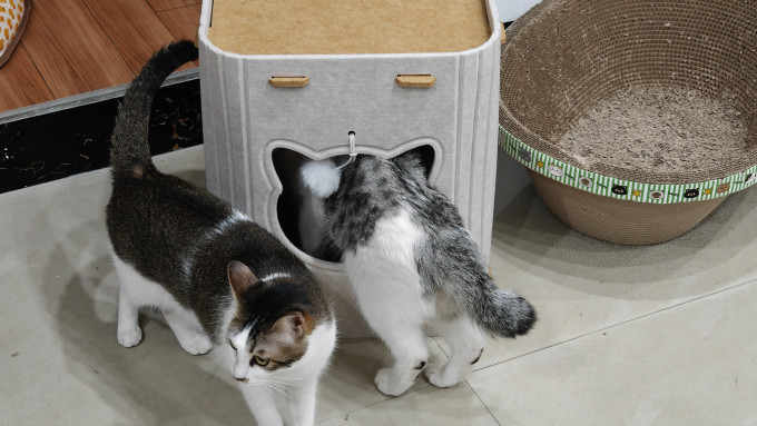 猫狗窝