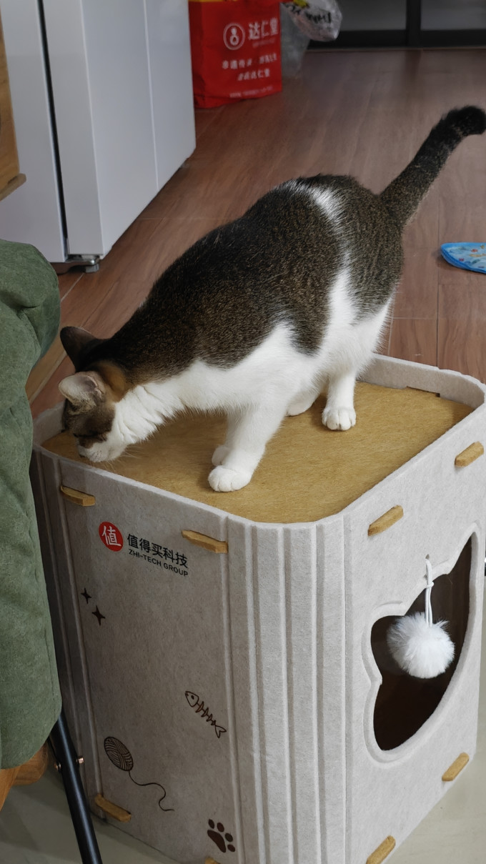 猫狗窝