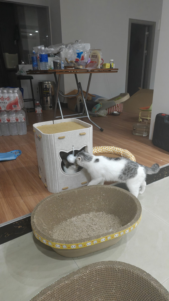 猫狗窝