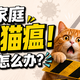 多猫家庭出现一例猫瘟，其他猫应该怎么处理？