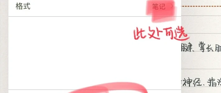 Notability 又在