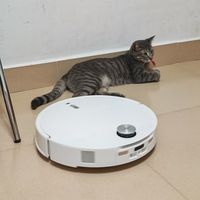 石头P20净立方实测|2k+价位热水洗拖布真全能!