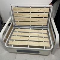 小户型搞个便宜的沙发床很实用