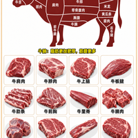一图看懂牛肉部位🥩哪个炖哪个炒哪个涮,你买对了吗