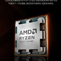 为什么FPS电竞都选AMD？锐龙7 9800X3D冠军同款 把千帧握在手中
