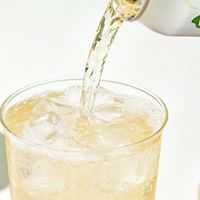 爽露爽气泡米酒到底多少度？一篇讲明白