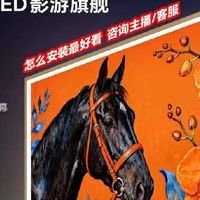 创维 A8H 65 寸壁纸电视 国补套购限时抢礼