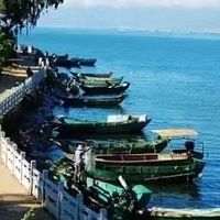 被白蚁蛀空门框才明白:白蚁用什么药最安全?看准这三点不踩坑