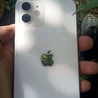 预算2000买iPhone 12？这波捡漏赢麻了！