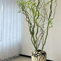 租房改造日记｜100元以内！5个软装细节拉满居家幸福感