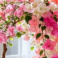 租房改造日记｜百元内搞定！3个软装细节提升居家幸福感