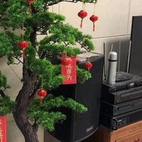 租房改造日记｜200元内软装！3个细节拉满居家幸福感