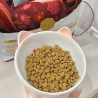 无限回购！老年猫粮我只认猫爸爸