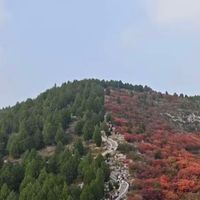 济南徒步日记之佛慧山-岫岩山-蝎子山