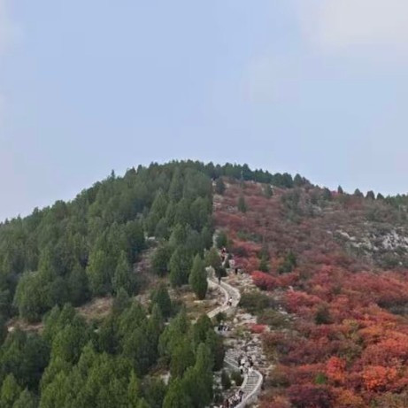 济南徒步日记之佛慧山-岫岩山-蝎子山