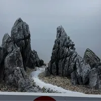 缸水变碱先怪青龙石？这周的实测里石头被冤枉、酸洗翻了车：翻完30多条全网记录，隐藏碱源排查和选石对照表都在这了