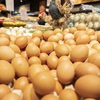 鸡蛋9天涨15.5%破6元每斤，中秋前高位难跌，秋后有望回落