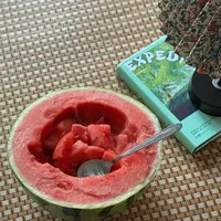 糖友吃西瓜，真正要防的不是瓜，是那把勺子