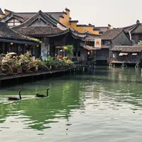 去乌镇戏剧节,先把往返的账算清:上海直达大巴55元,杭州40多元,还有一条刚开通的新线路