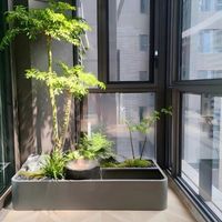 阳台花园9步、流水植物墙 | 绿植造景8.28日报