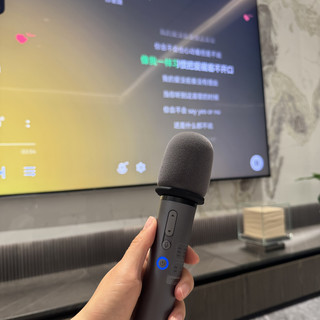 标70W实测只有30W？家庭K歌一体麦，交钱前先看这5点