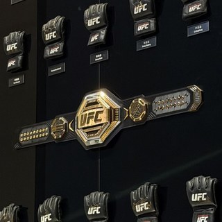 UFC格斗之夜上海站观赛指南：除了宋亚东的头条主赛，另外7场中国选手的比赛哪些值得蹲