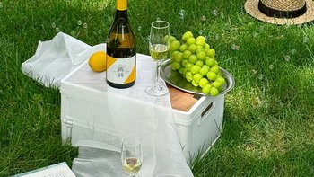 白葡萄酒从冰箱拿出来直接喝，其实最浪费：该冰多冷、冰多久，一张表说清